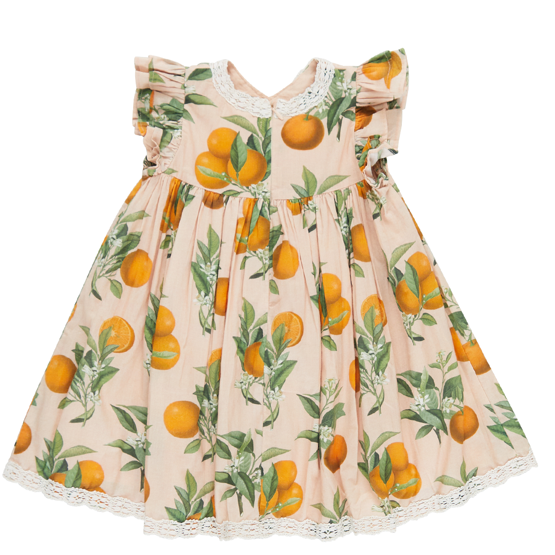 Girls Katherine Dress - Pink Botanical Oranges