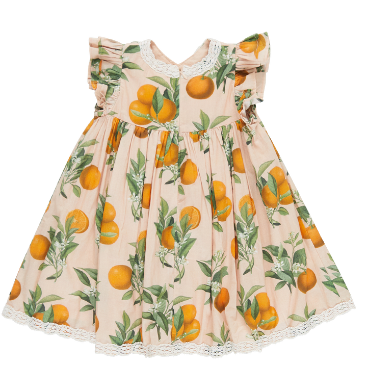 Girls Katherine Dress - Pink Botanical Oranges