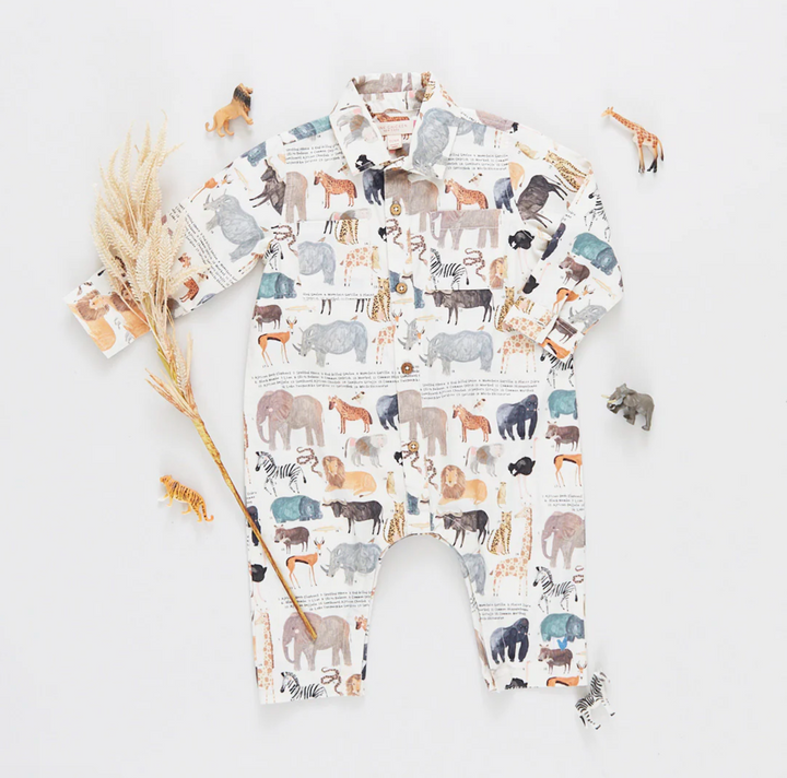 Baby Boys Easton Jumper - Animals of Africa