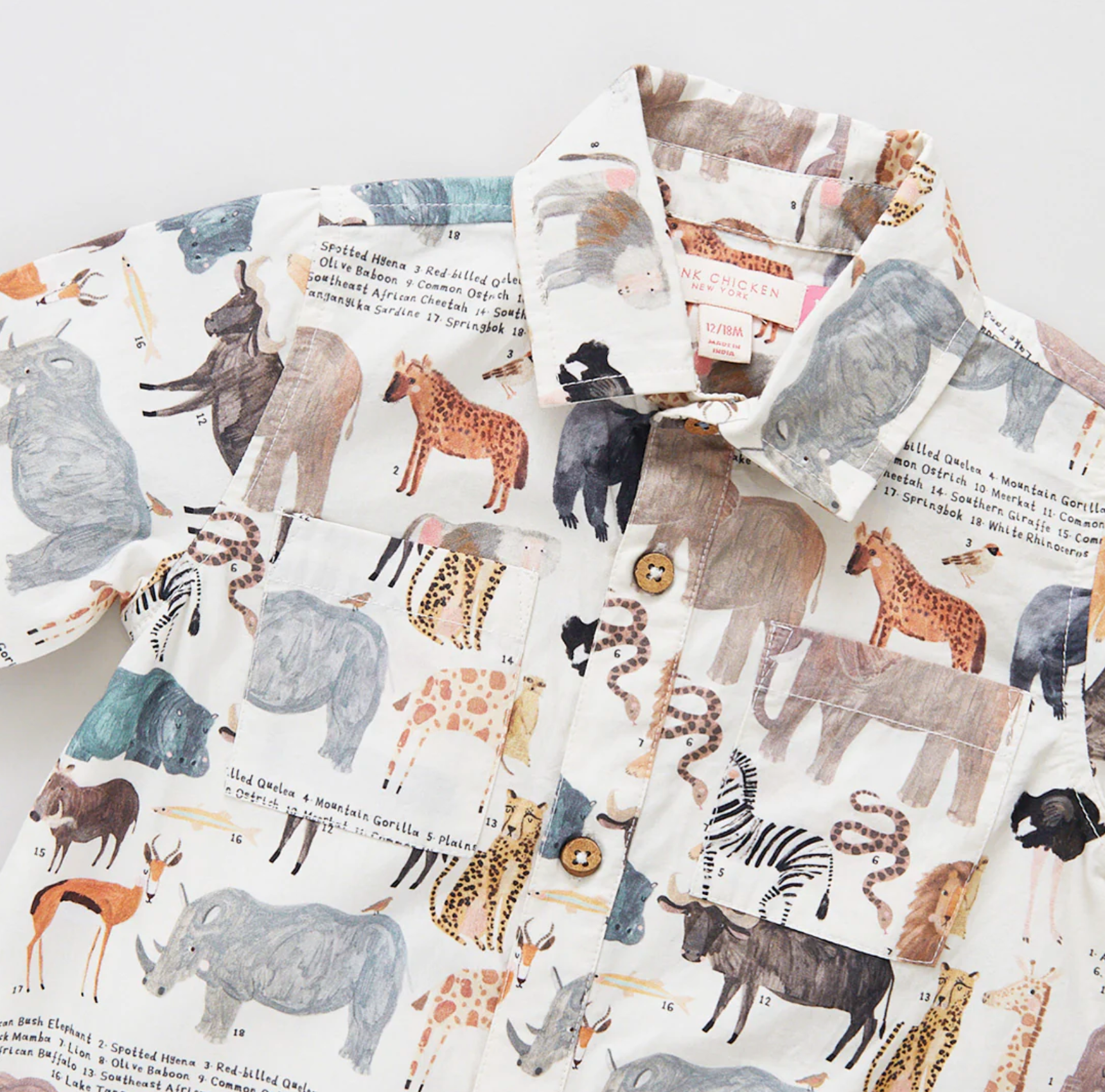 Baby Boys Easton Jumper - Animals of Africa