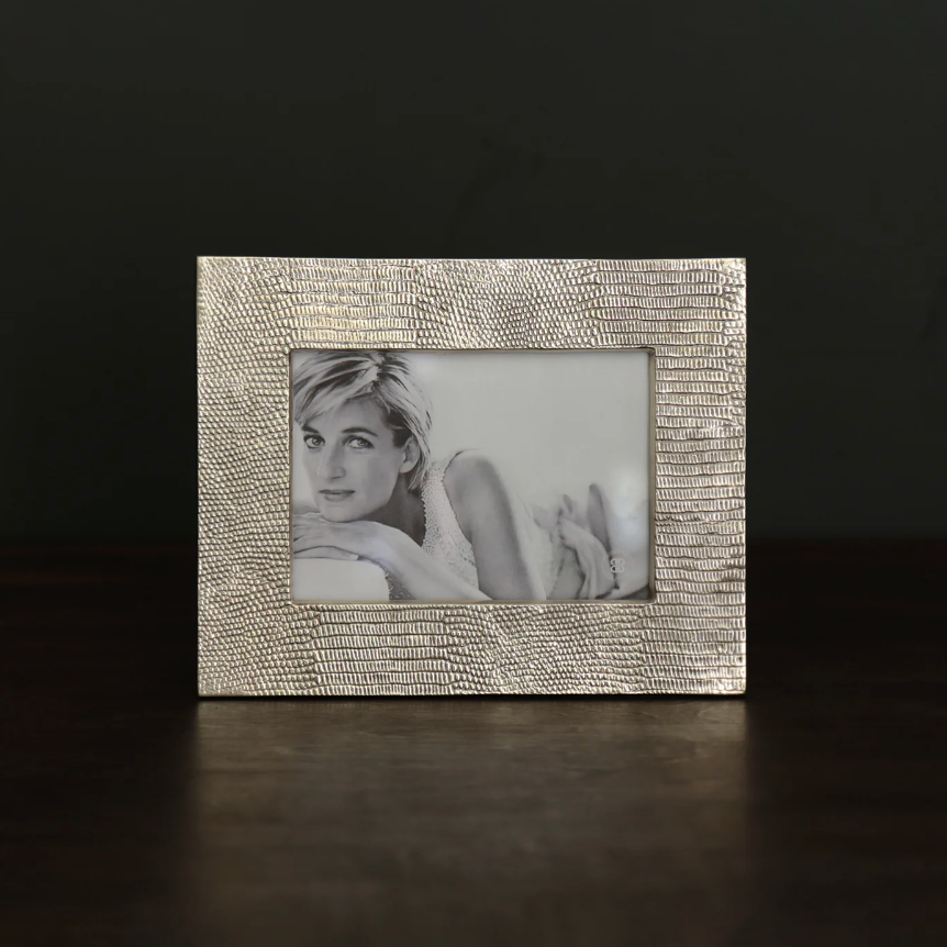 Sierra Modern Python 5x7 Frame (Gold)