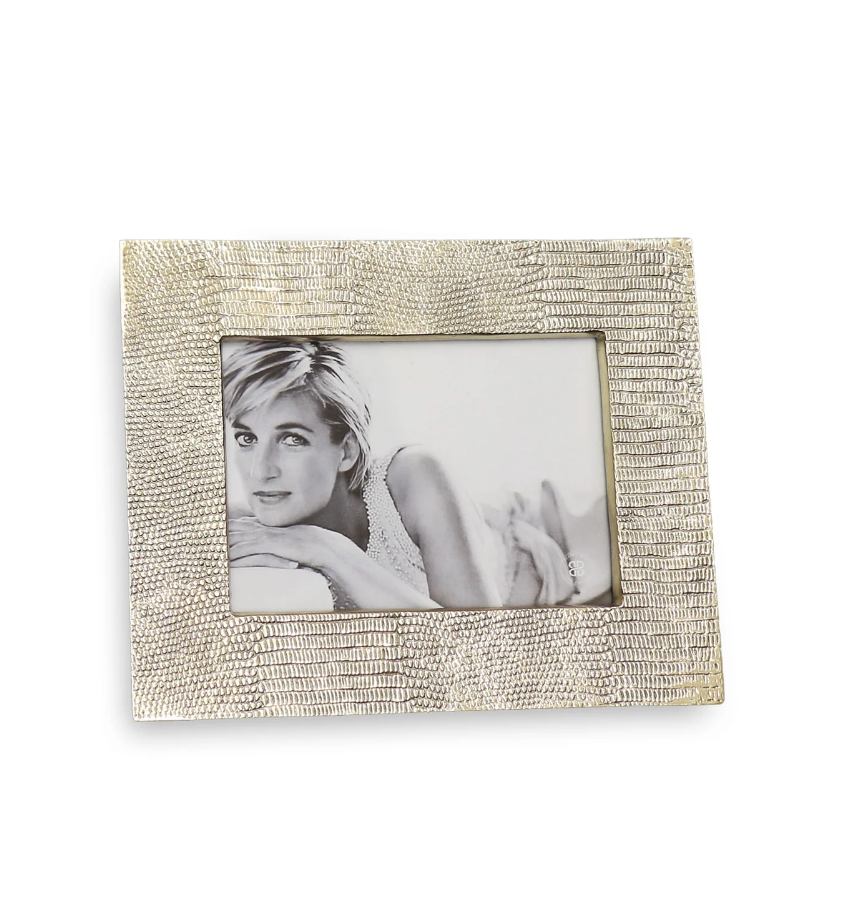 Sierra Modern Python 5x7 Frame (Gold)