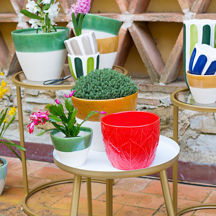 Viva Garden Green Reactive Small Cachepot
