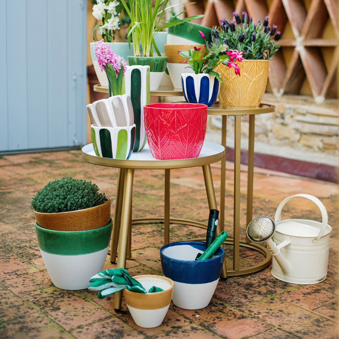 Viva Garden Green Reactive Medium Cachepot