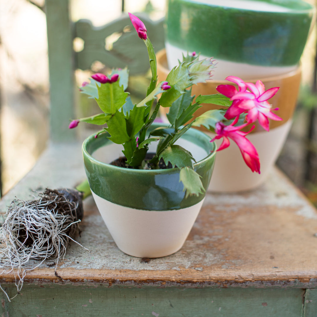 Viva Garden Green Reactive Small Cachepot