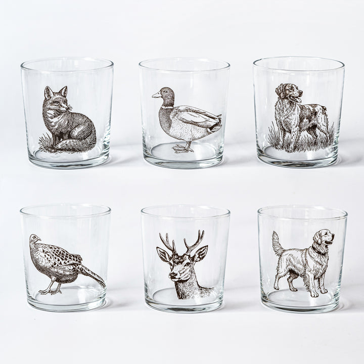 Wildlife Assorted Tumblers - Set of 6