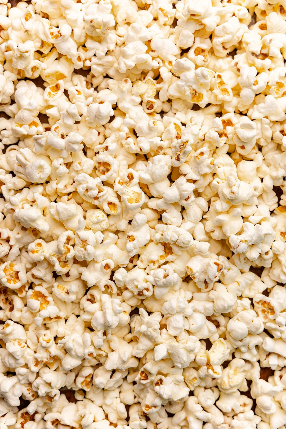 Salted Caramel Hand-Crafted Popcorn