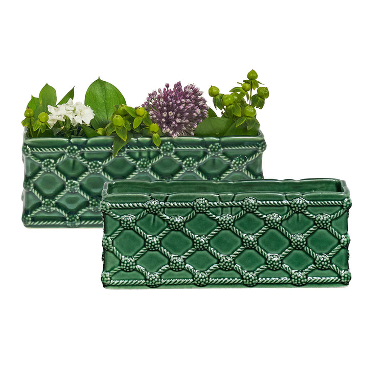 Berry & Thread Petite Parterre Garden 8" Planter Set/2 - Basil