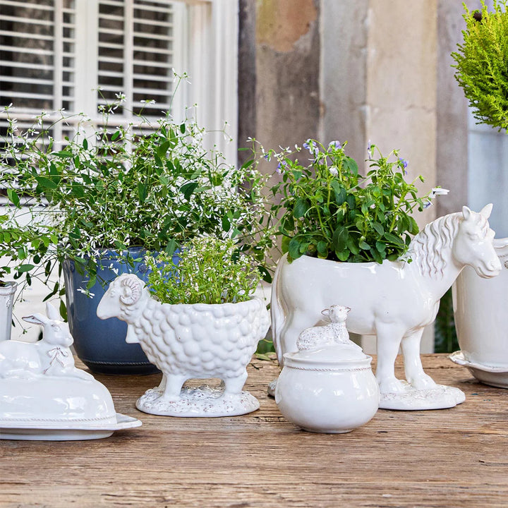 Clever Creatures Rooster Pitcher - Rousseau