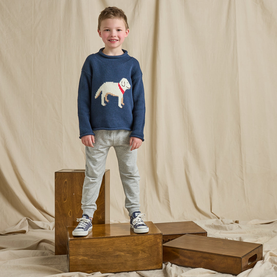 Coop Classic Sweater - Lab
