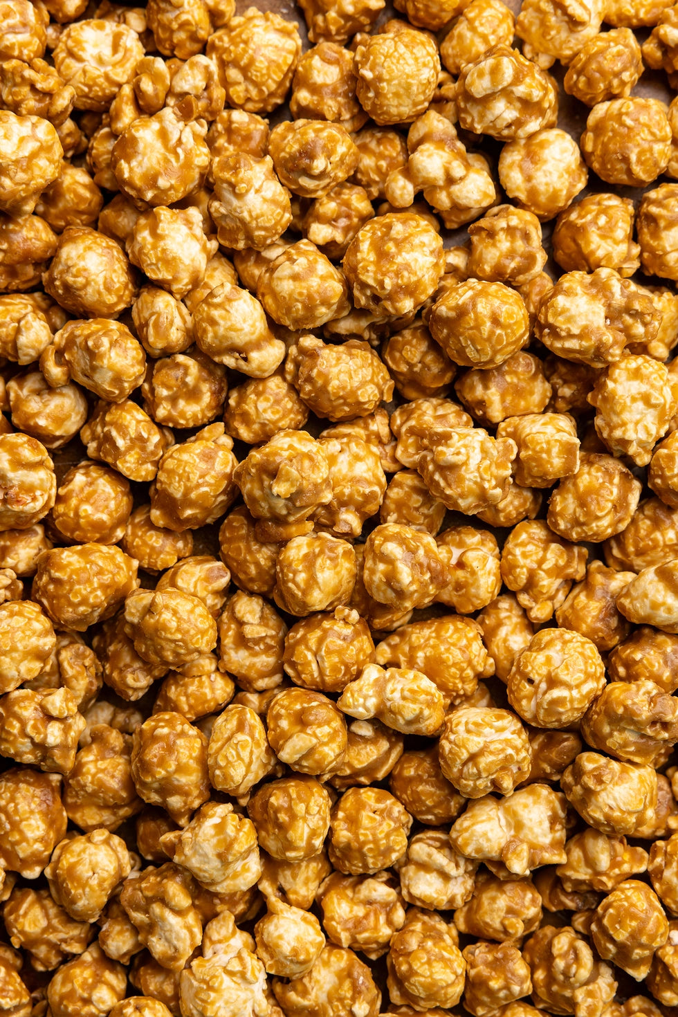 Close-up of gingerbread flavored salted caramel popcorn