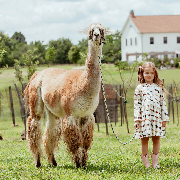 Girl wearing Girls Horse Print Dress outdoors with pink cowboy boots