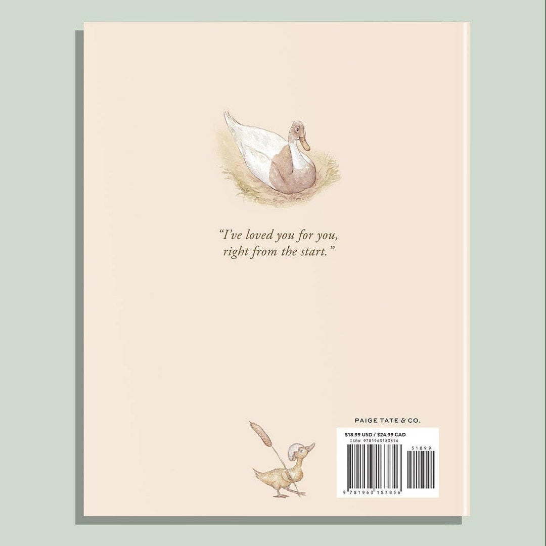 Back cover of I&