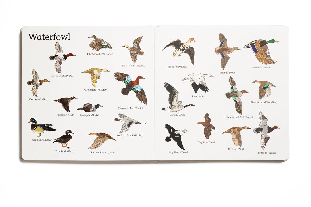 Mossy Oak Edition The Big Book of Hunting interior spread featuring illustrated waterfowl species