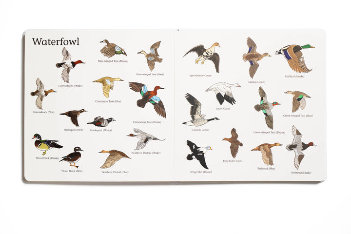 Mossy Oak Edition The Big Book of Hunting interior spread featuring illustrated waterfowl species