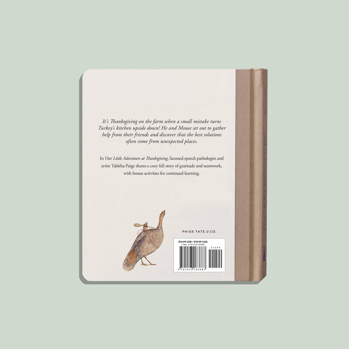 Back cover of Our Little Adventure at Thanksgiving with story description and watercolor illustration of Turkey and Mouse