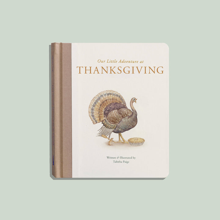Our Little Adventure at Thanksgiving front cover by Tabitha Paige featuring a watercolor turkey and pie illustration