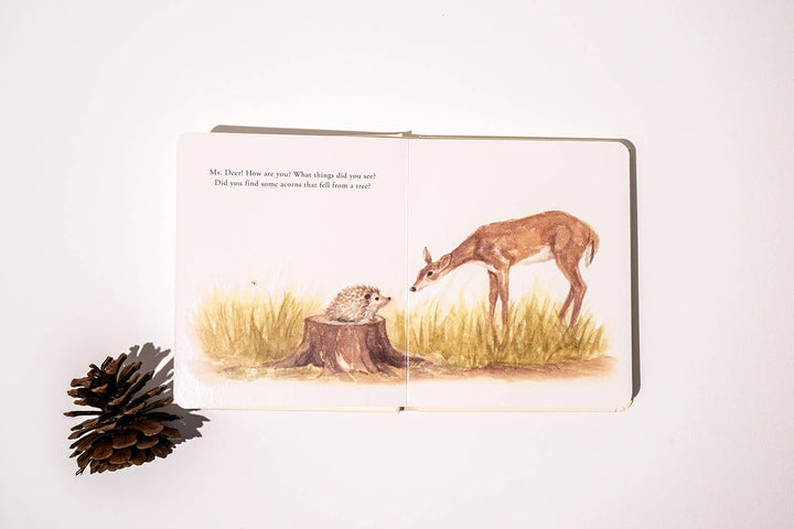 Open Our Little Adventures board book showing watercolor deer and hedgehog forest illustrations beside a pinecone