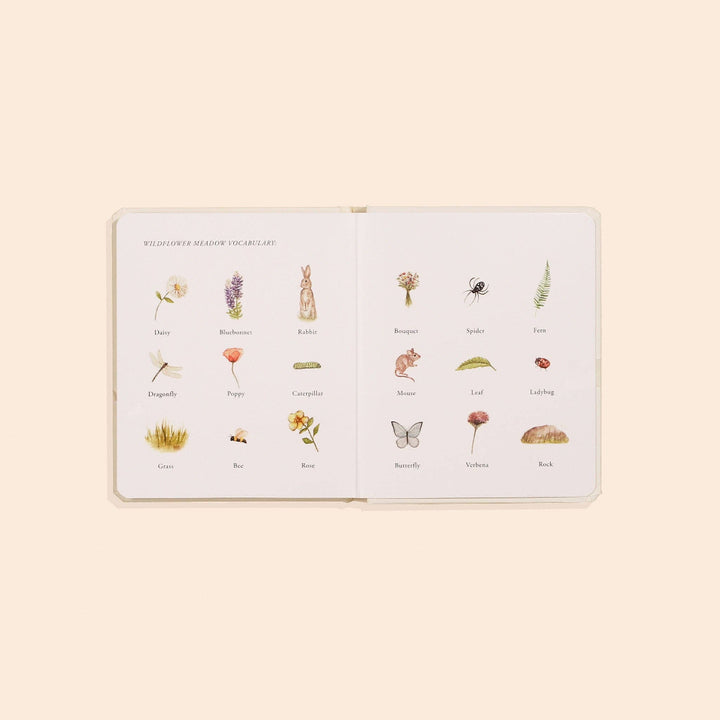 Our Little Adventures Wildflower Meadow board book open to illustrated vocabulary pages with flowers, animals and insects