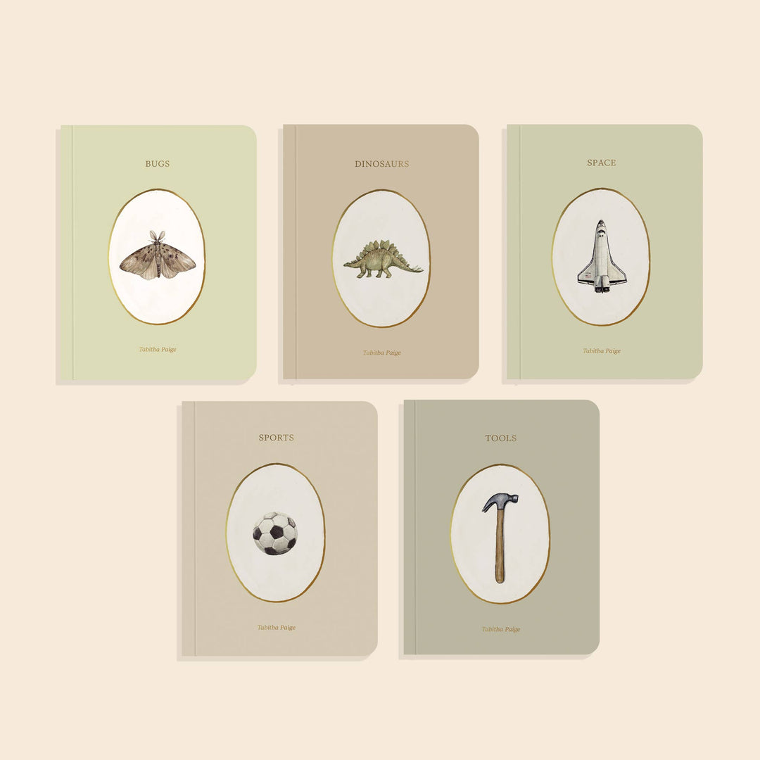 Our Little Library Vol. 3 five board books featuring Bugs, Dinosaurs, Space, Sports, and Tools covers