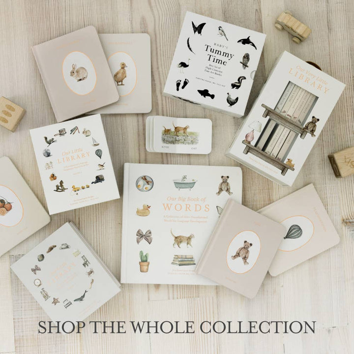 The entire collection that includes Paige Tate &amp; Co.&