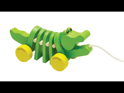 Dancing Alligator