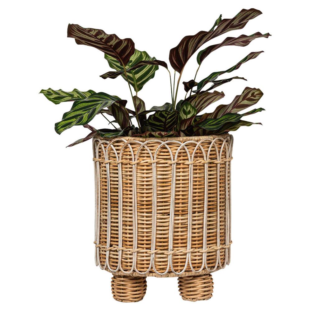 Provence Rattan Round Planter - Whitewash