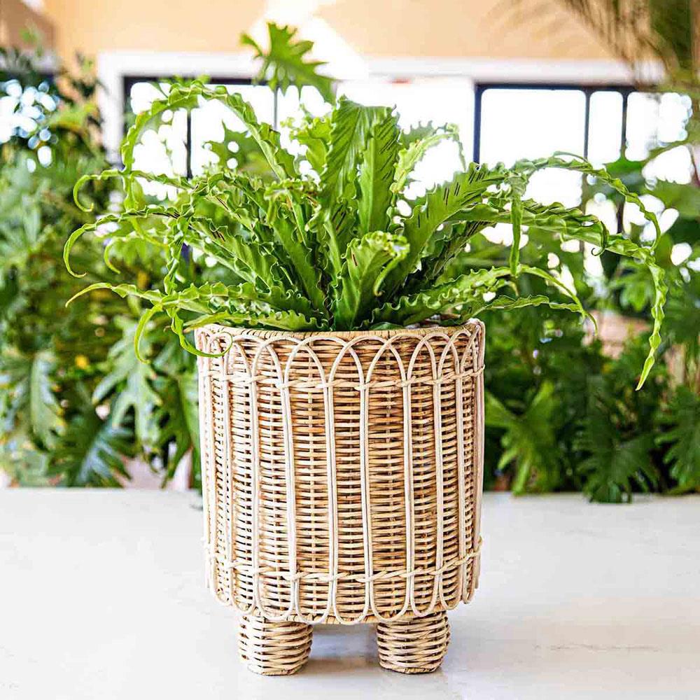 Provence Rattan Round Planter - Whitewash