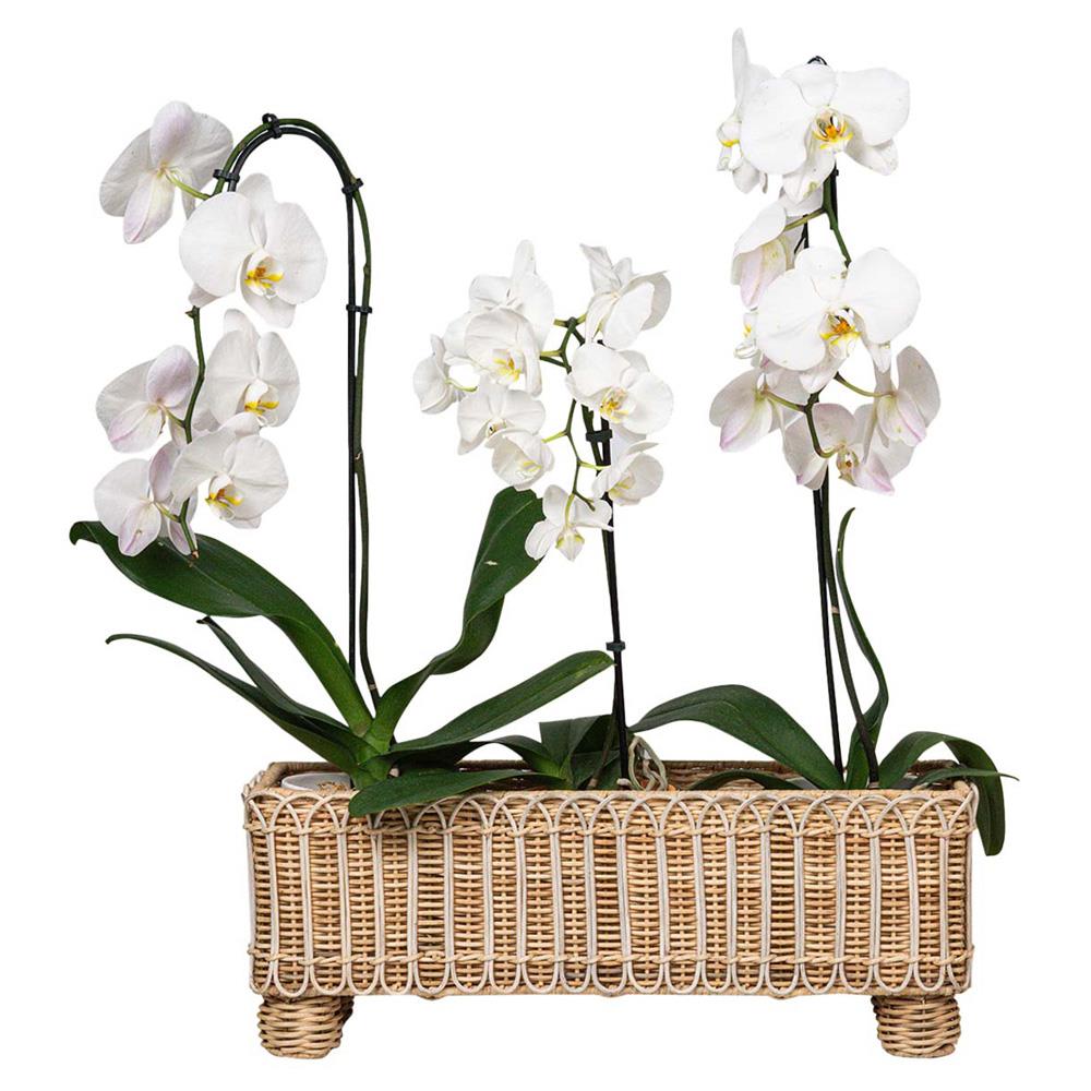 Provence Rattan Rectangular Planter - Whitewash