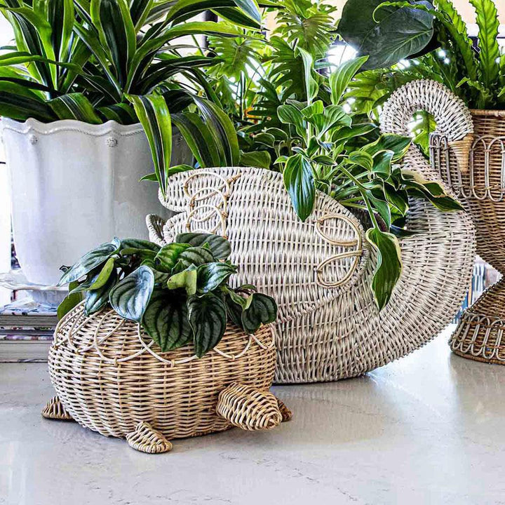 Provence Rattan Turtle Bowl - Whitewash