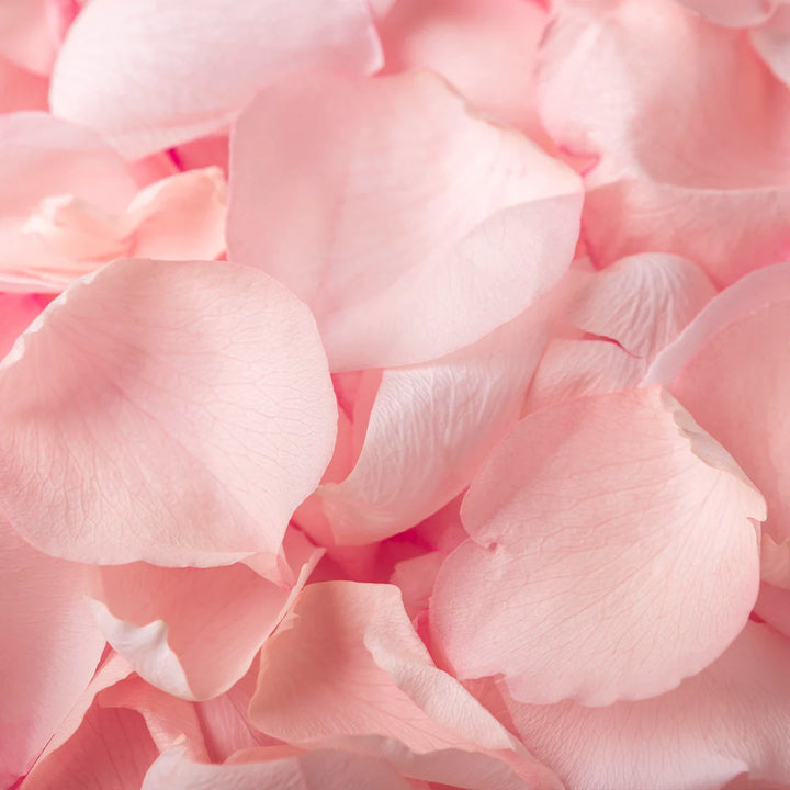 Archipelago Botanicals - Charcoal Rose Diffuser