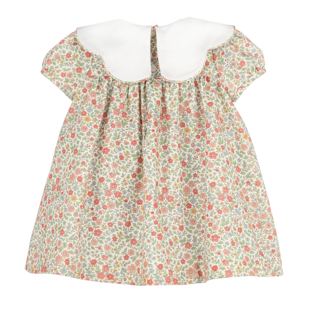 Back of Storybook Vintage Scallop Dress with colorful floral print and oversized white scalloped collar