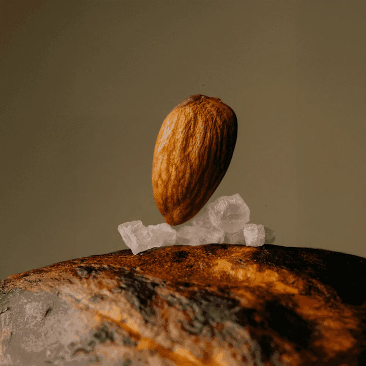 Roasted almond and sea salt featured in The Conscious Bar Almond Sea Salt dark chocolate