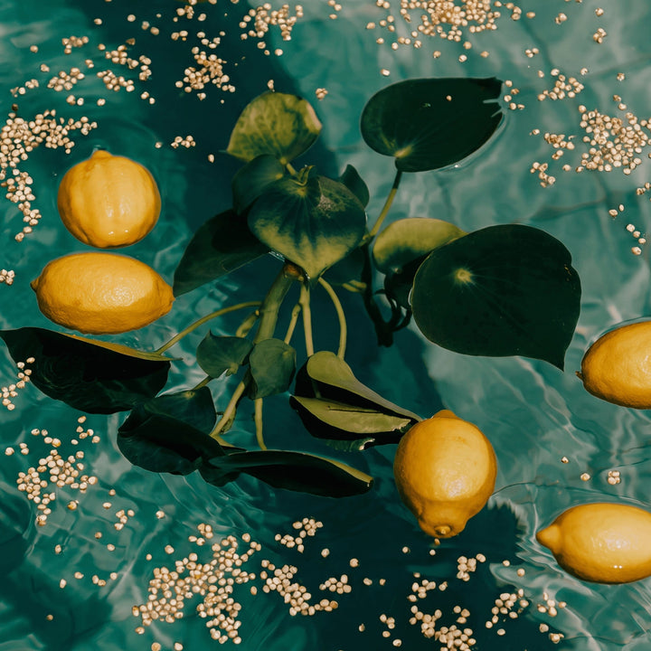 Fresh lemons and quinoa inspired by The Conscious Bar Lemon Pop dark chocolate ingredients
