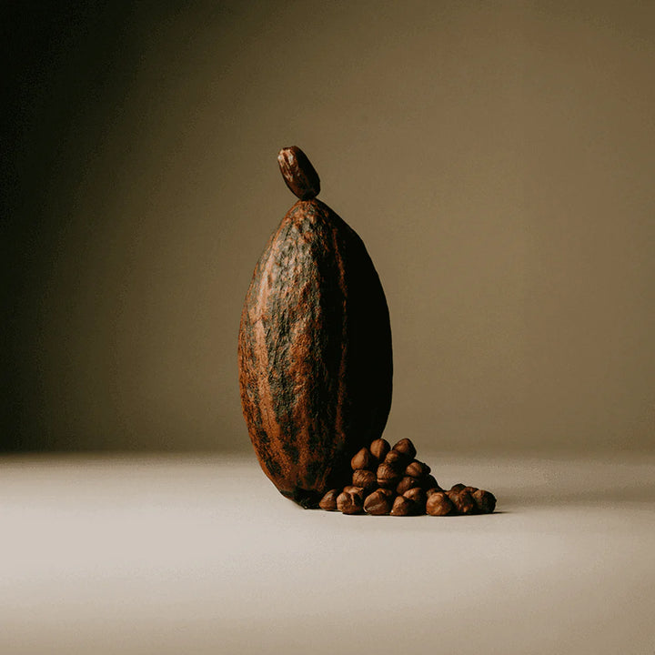 Organic cacao pod and hazelnuts featured in The Conscious Bar Roasted Hazelnut chocolate