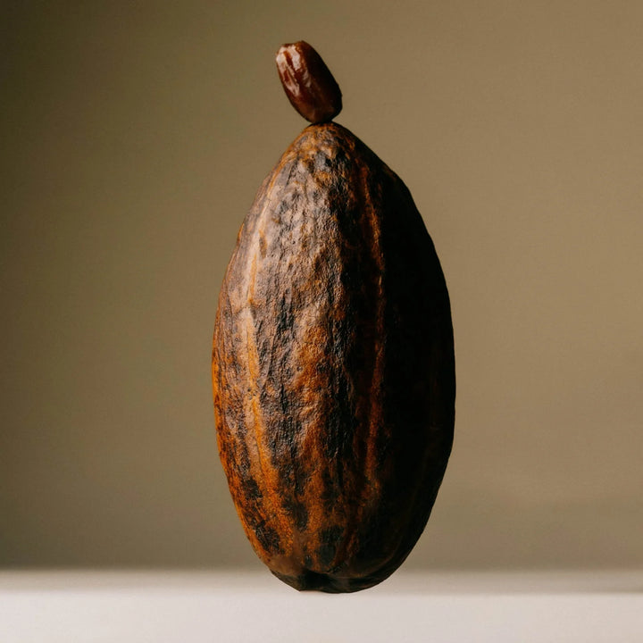 Cacao pod and date for The Conscious Bar Smooth Dark Chocolate