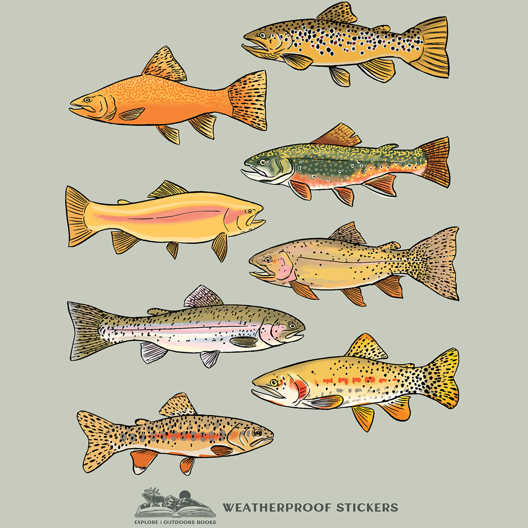 Trout weatherproof sticker sheet featuring colorful illustrated rainbow, brown, brook and other trout fish designs for fishing and outdoor enthusiasts.
