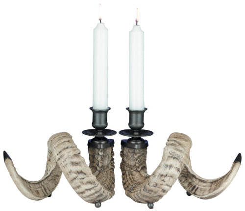 Ram Horn Candle Holders