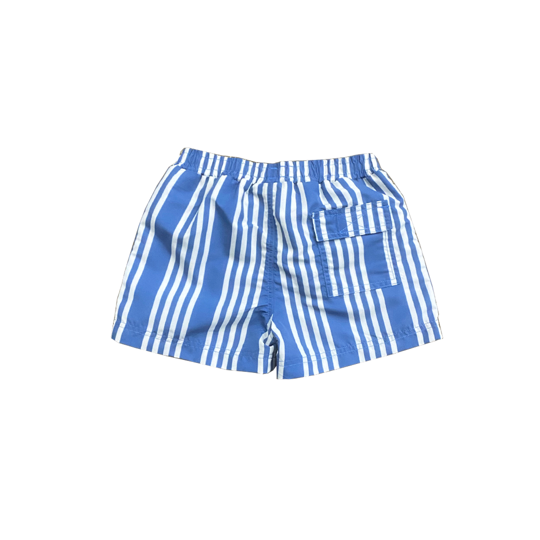 Stellar Column Stripe Swim Trunk