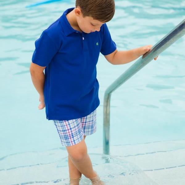 Reef Blue Plaid Shorts