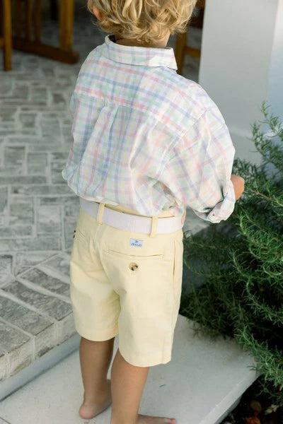 Carousel Plaid Roscoe Button Down Shirt
