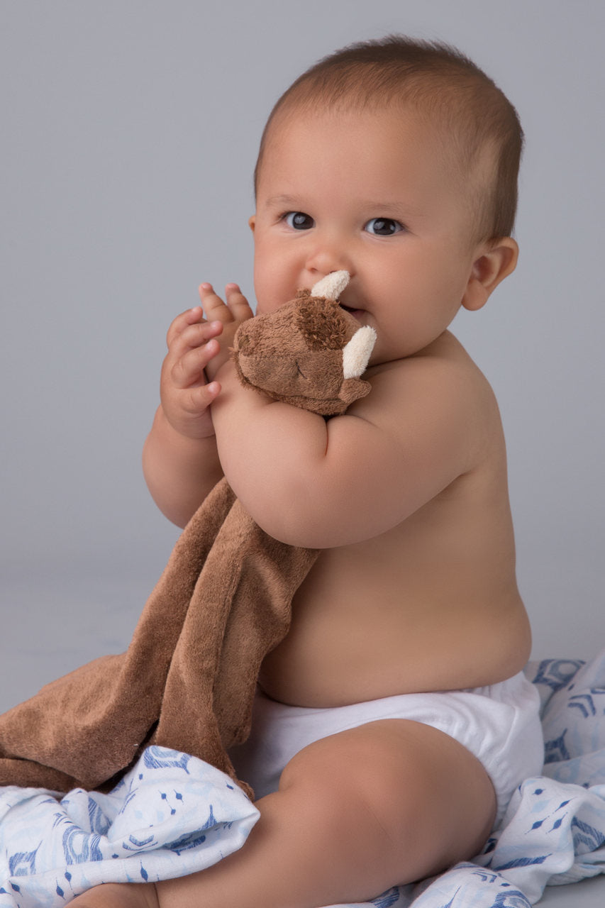 Brown Bison Blankie