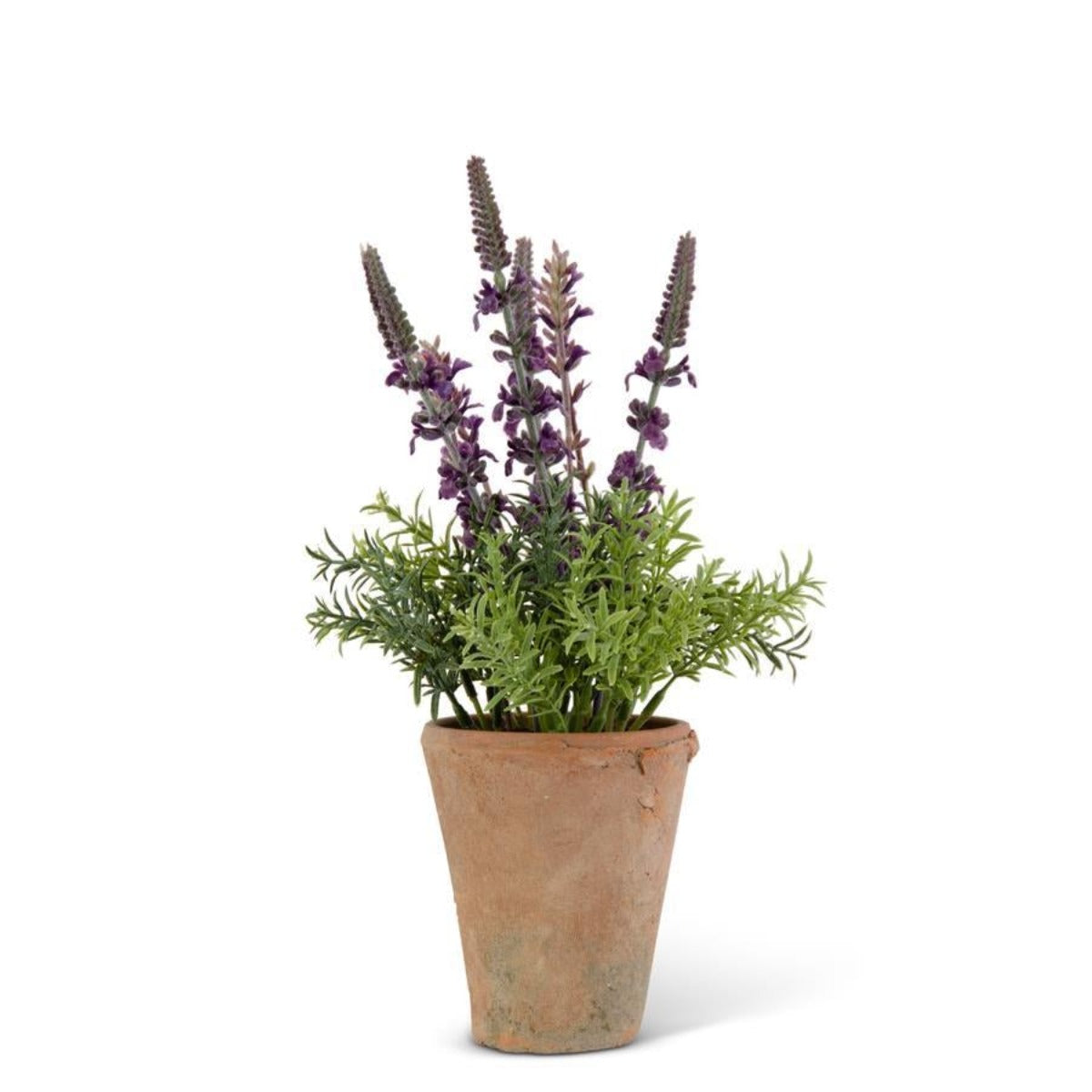 Purple Lavender With Distressed Clay Pot