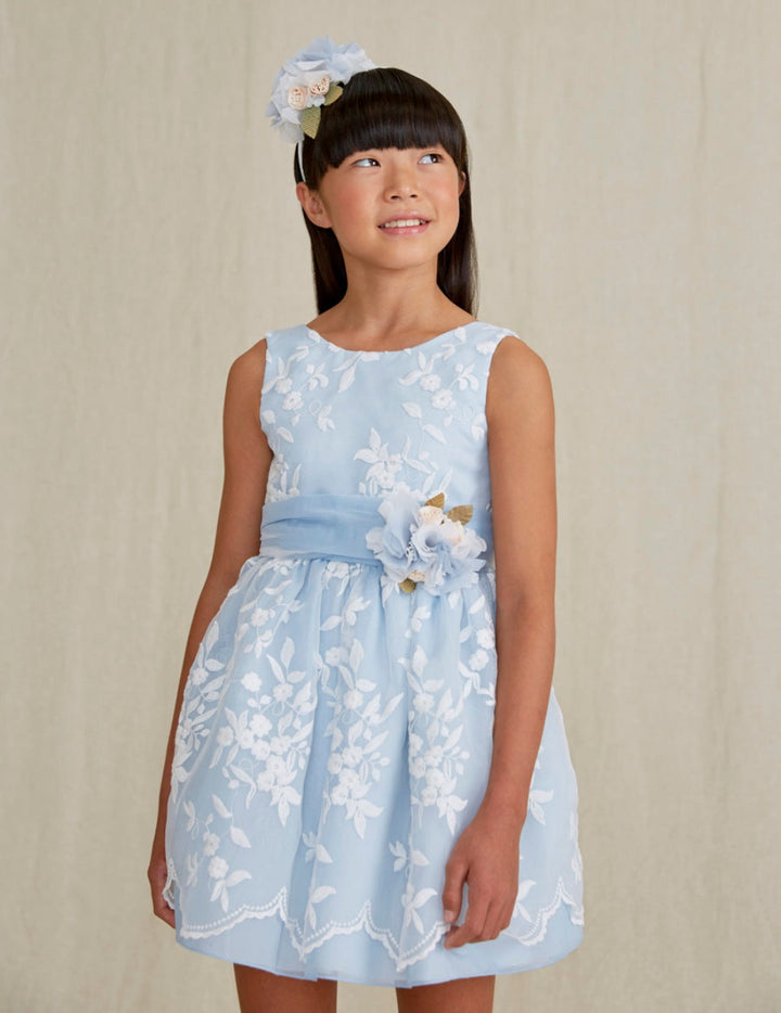 Light Blue Organza Embroidered Dress