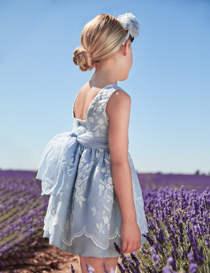 Light Blue Organza Embroidered Dress