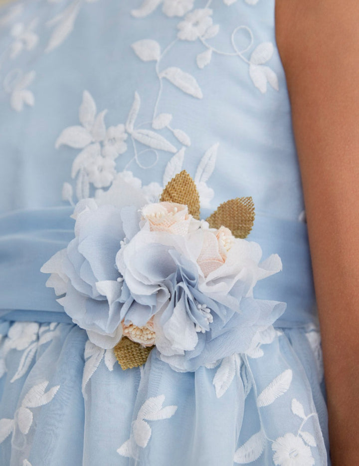 Light Blue Organza Embroidered Dress