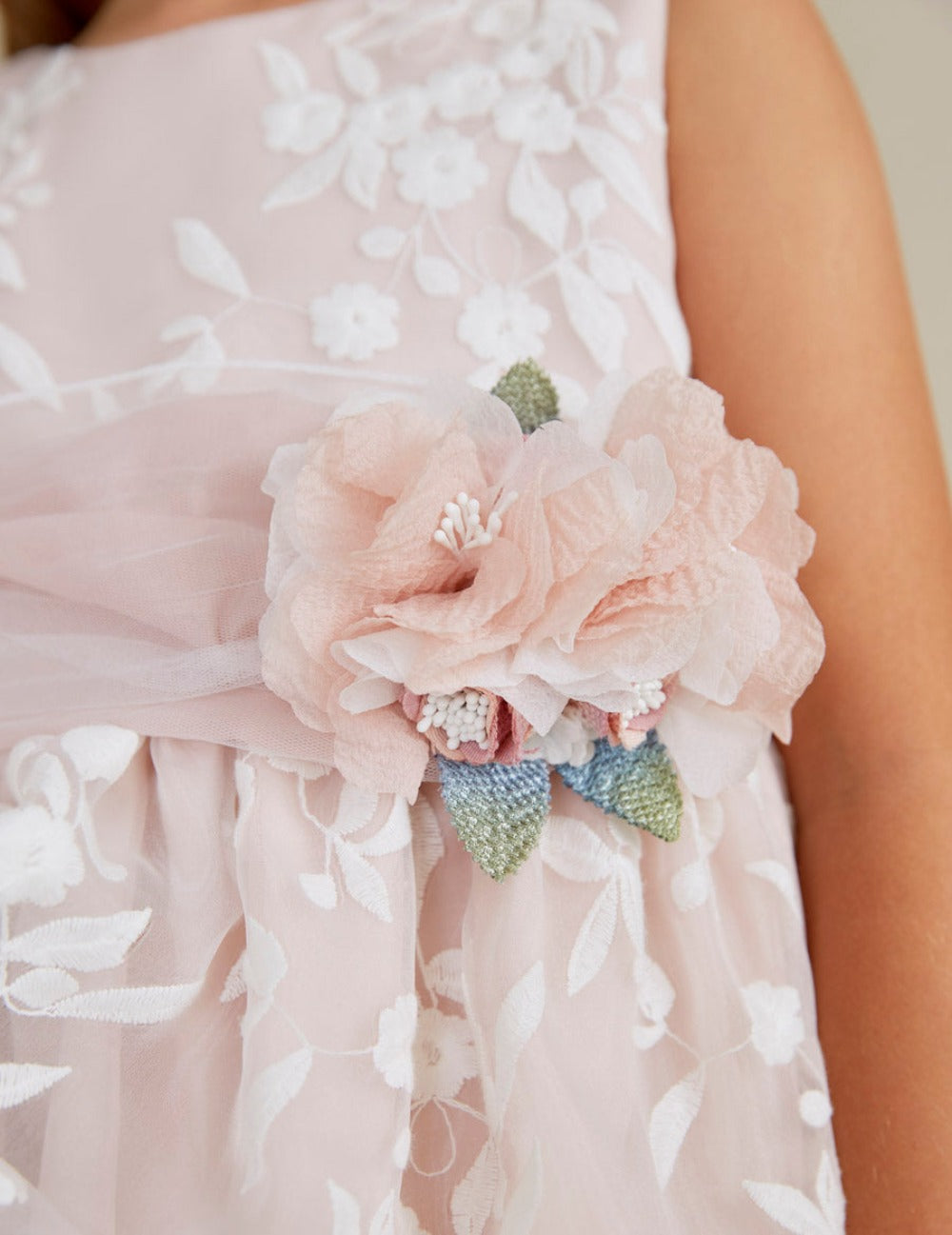 Rose Organza Embroidered Dress