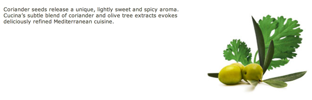 Cucina Dish Detergent - Coriander & Olive