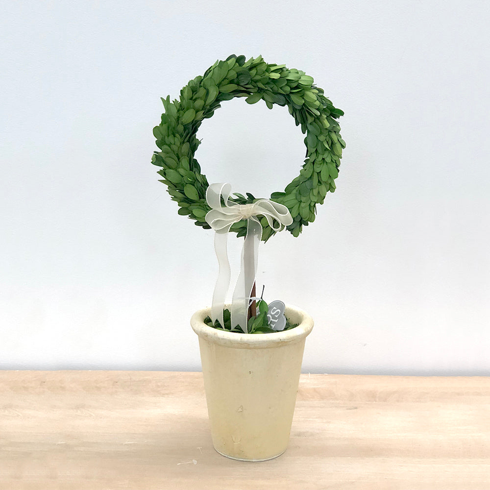 Preserved Boxwood Ring Topiary