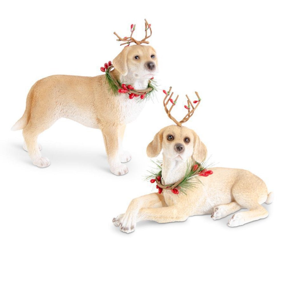 Assorted Brown Dogs With Antlers & Wreath